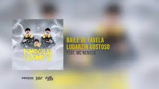 4• BAILE DE FAVELA - LUGARIZN GOSTOSO
