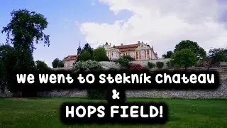 STEKNÍK VLOG