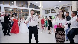 Denisa Fundeanu - Formatia Doru de la Cocorova - Colaj de petrecere 2023