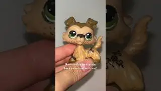 The paint is REMOVEABLE?!? #lps #littlestpetshop #lpscustom #lpscollection
