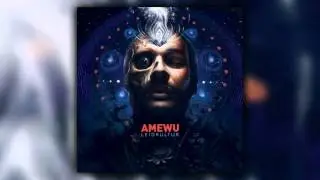 Amewu - Fortschritt