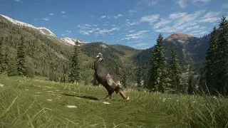 TheHunter Call Of The Wild!! Silver Ridge Peaks Diamond Hunt part 3!!
