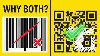 Barcode vs QR Code: Why We Still Use Both