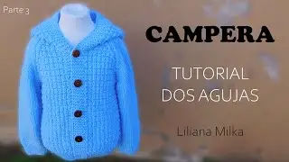 Como tejer una camperita, saco, sueter, chaleco para niño Dos Agujas, Palitos, Tricot. Parte 3 de 3