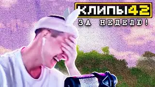 МайнШилд 4 | Клипы за неделю | Часть 42