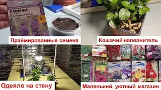 Продолжаю готовиться к большой посевной/Середина января - садовые дела!