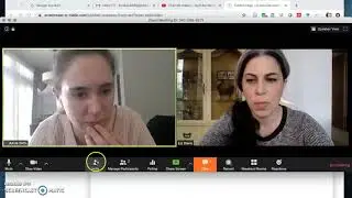 How to update Mac Zoom software