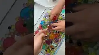 15 июня 2024 г.