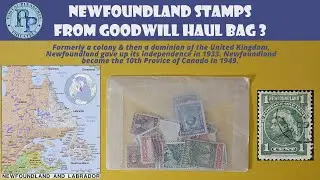 Newfoundland Stamps - Goodwill Haul Bag 3 - Beautiful Old Postage Stamps From A Dead Country