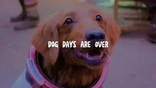 Florence + The Machine - Dog Days Are Over (Lyrics OST Guardian Of The Galaxy Vol. 3)