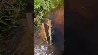 Big Whirlpool