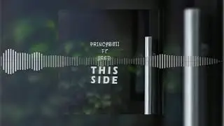 Princyboii - This Side (Visualizer) #LGM