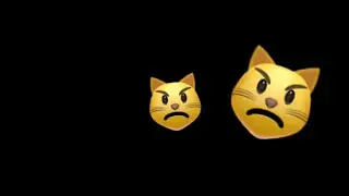 Don’t click unless your KOCHI 😾😾