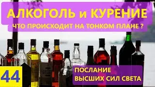 ПРО ЭГРЕГОР АЛКОГОЛЯ и КУРЕНИЯ. Послание Высших Сил Света. Елена Морозова.