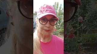 Как аукается обман?