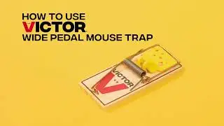 How to Set the Victor® Wide Pedal Mouse Trap