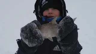 Рыба есть, рыба хочет есть! Первая рыбалка сына зимой. Ловим подлещиков!