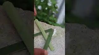 Bamboo Simple tips -DIY #shorts