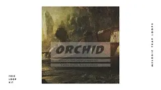 [FREE] Melodic Trap Loop Kit Sample Pack - 'ORCHID' Royalty Free Loops (Cxdy Type Samples)