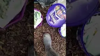 Who I am and why I garden and you can too