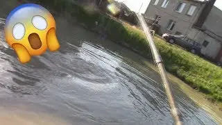 MY BIGGEST CATCH!!