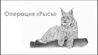 Операция 