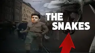 Rip - The Snakes (CS:GO)