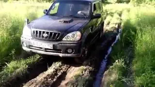 Лайтовый Лайт)) Hyundai Terracan и ТАТА 