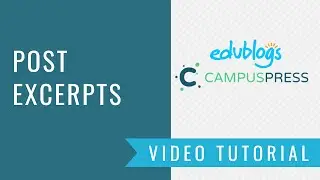 How To Use Excerpts On Your WordPress Posts