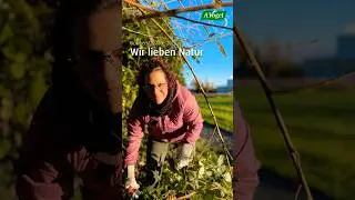 Biodiversitätstage bei A.Vogel #avogel #heilpflanzen #biodiversität #natur #garten #nachhaltigkeit
