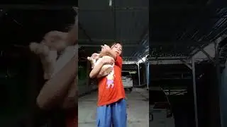 ngajak si cookies si meong meong👻