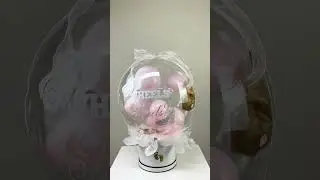 Gender Reveal Balloon Pop Box - Slow Motion