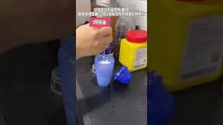 #TikTok #youtubeshort #cutedog #dog #cat #cutecat #short #shorts #animal #Luong chelich 9495