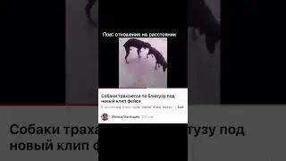 #отношения