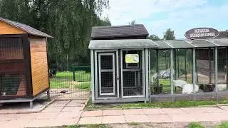 Отдых день второй: велосипед, территория отеля
