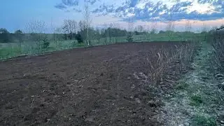 Фрезерование земли после мтз и выравнивание участка