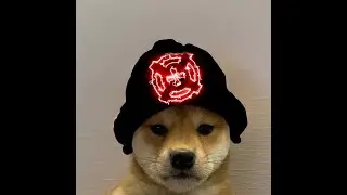 hvh media + snipet bandana