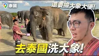 去泰國洗大象！還要撿大象大便！大象保護區半日遊【狸貓】