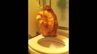 The World's Longest Pee