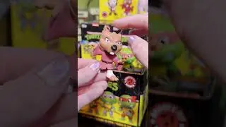 Teenage Mutant Ninja Turtles Mystery Minis