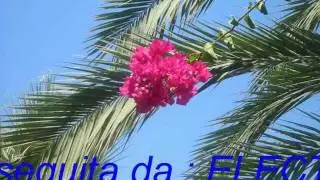 ESTATE MERAVIGLIOSA.wmv