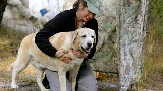 2018 NRHRC #1 Veteran Gun Dog - Lower Stakes