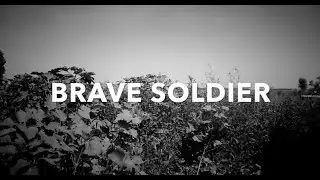 Brave Soldier