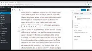 Video 10 - Make and Edit Post With New Wordpress Editor