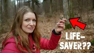 🍄Lifesaver?☠️Ist THE most medicinal mushroom for survival and life-threatening diseases?😷