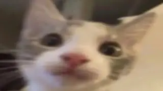 the longest discord call slander