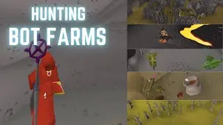 Hunting Bot Farms in the Wildy For Big Profit on OSRS