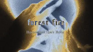 Forest Fire - Настоящий Цвет Неба (lyric video)