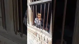 #uk