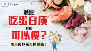 5分钟就看懂：蛋白质这样吃最燃脂 | 蛋白质可以让你吃更少卡路里、燃烧更多热量、更不容易反弹，你知道吗？